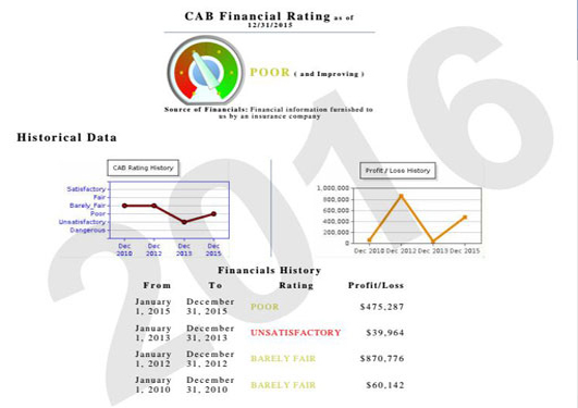 FINANCIAL ANALYSIS SCREENSHOT